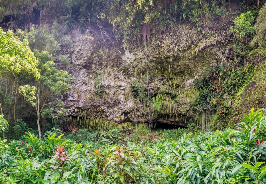 Polynesian Adventure Tours Waimea Canyon And Wailua River Tour 7