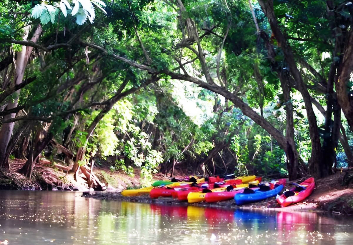 Wailua River Kayak Tour