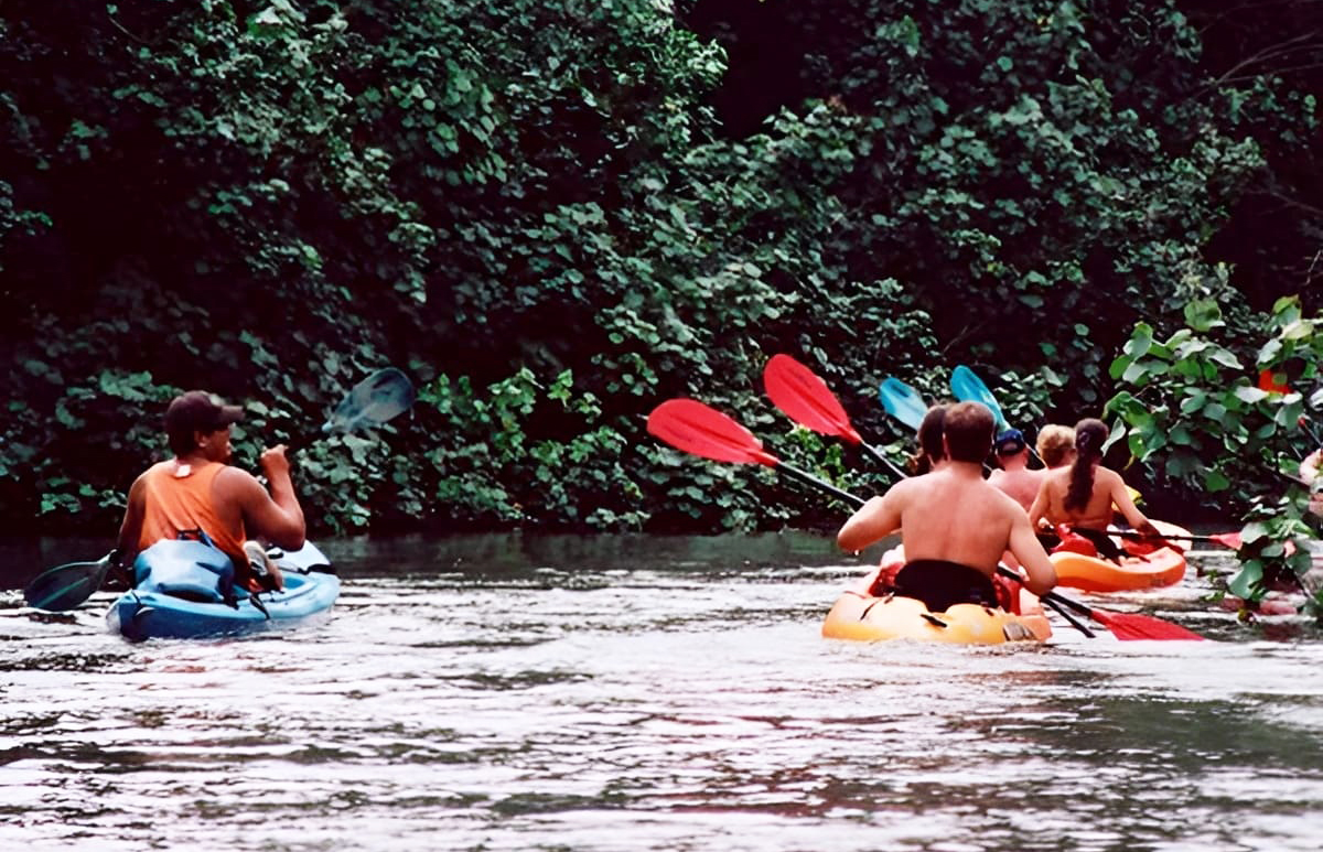 Wailua River Kayaking