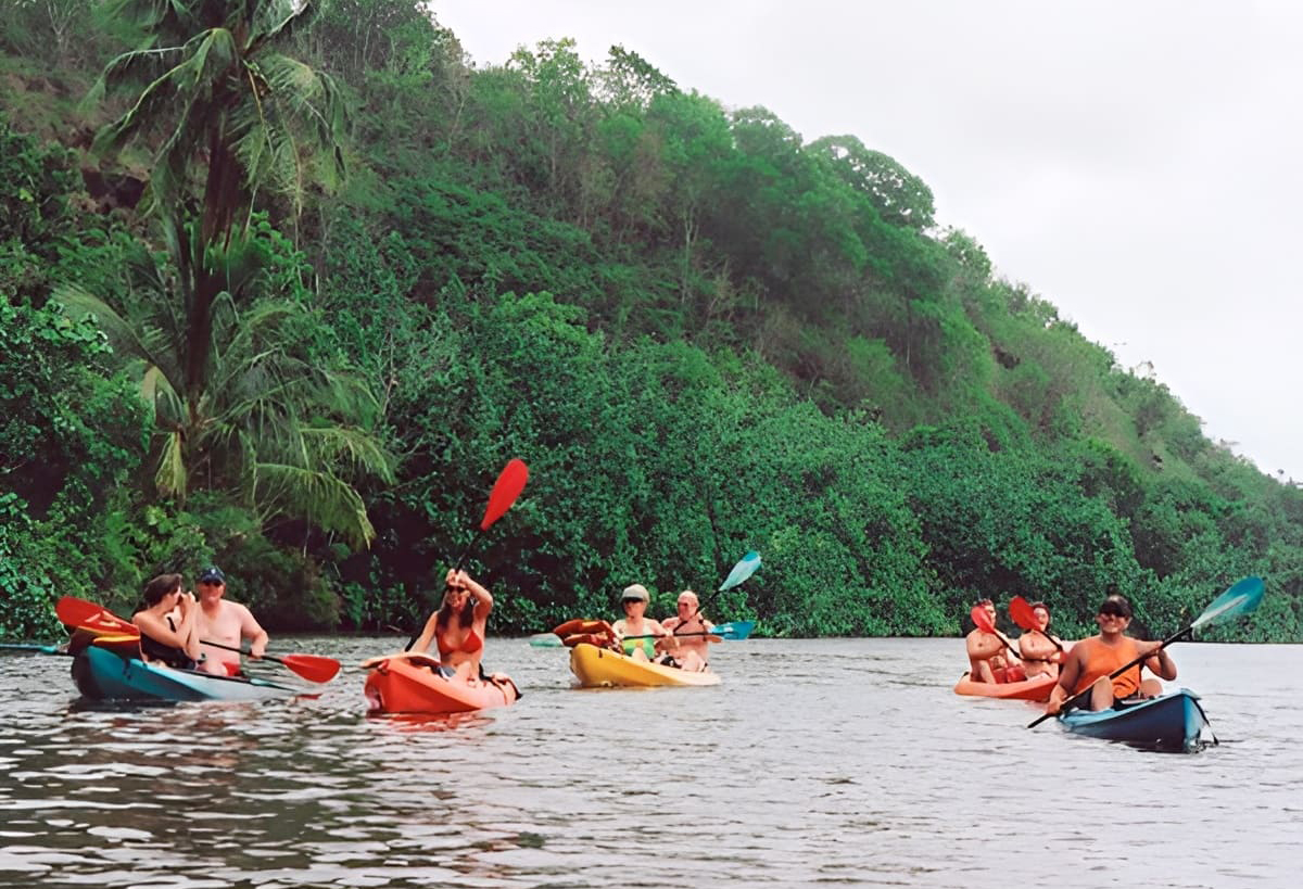 Wailua River Kayaking