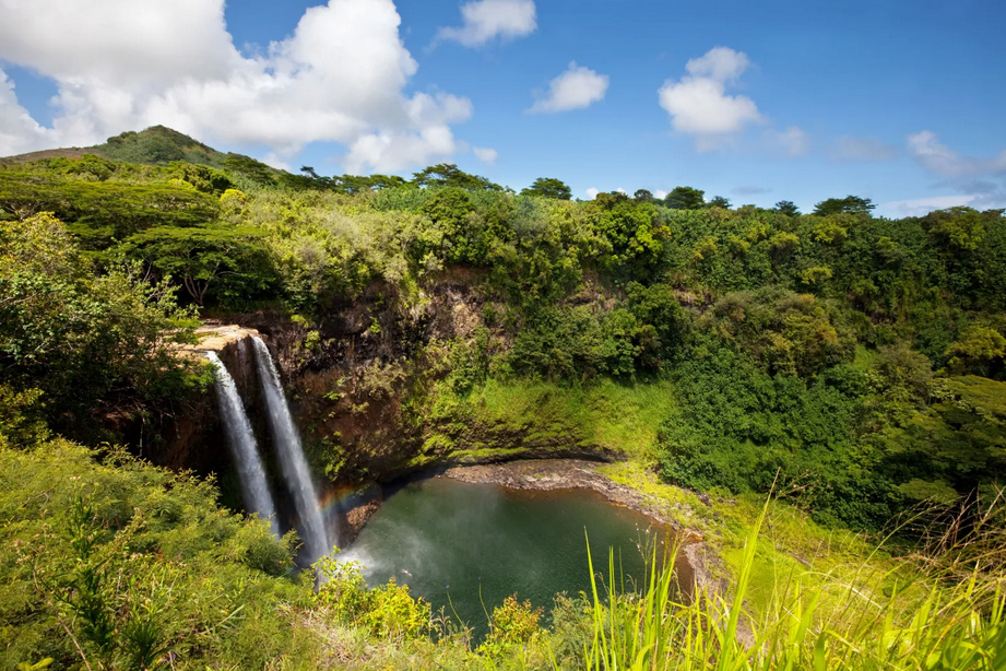Kauai Waterfall(1)