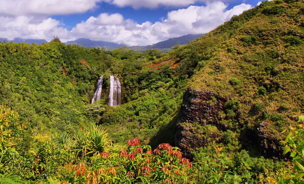 kauai-waterfall