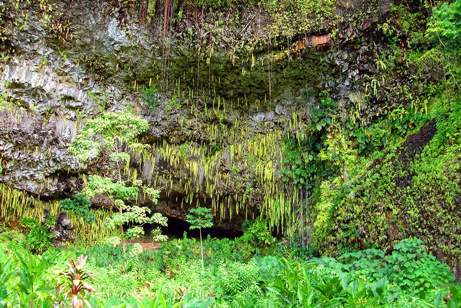 Fern Grotto
