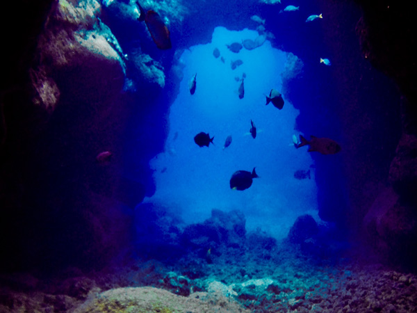 Popular scuba dive site with lava formations and reef fish