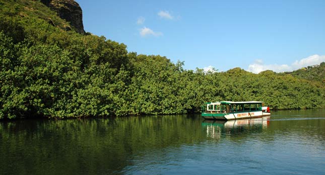 Family-friendly riverboat sightseeing adventure in Kauai