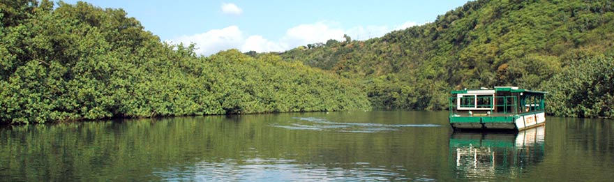 Wailua River Cruise Kauai