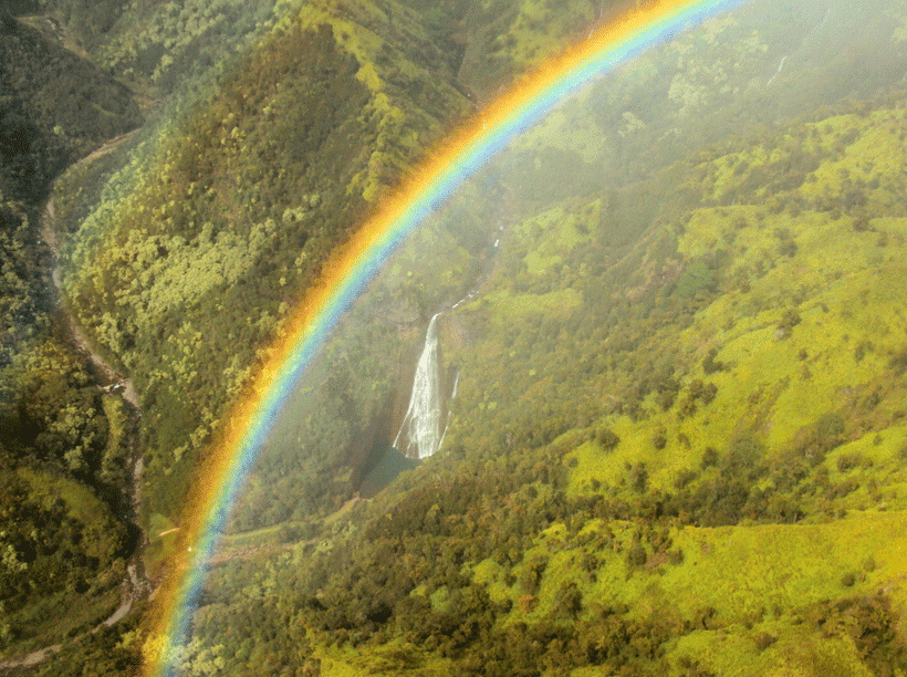 Rainbow