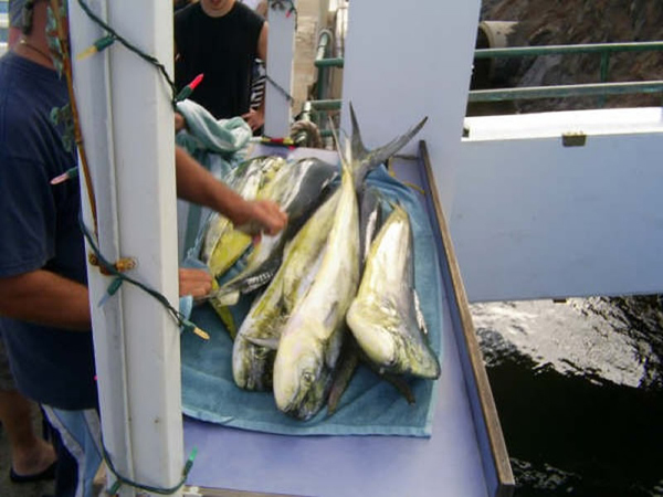Big Catch Maui