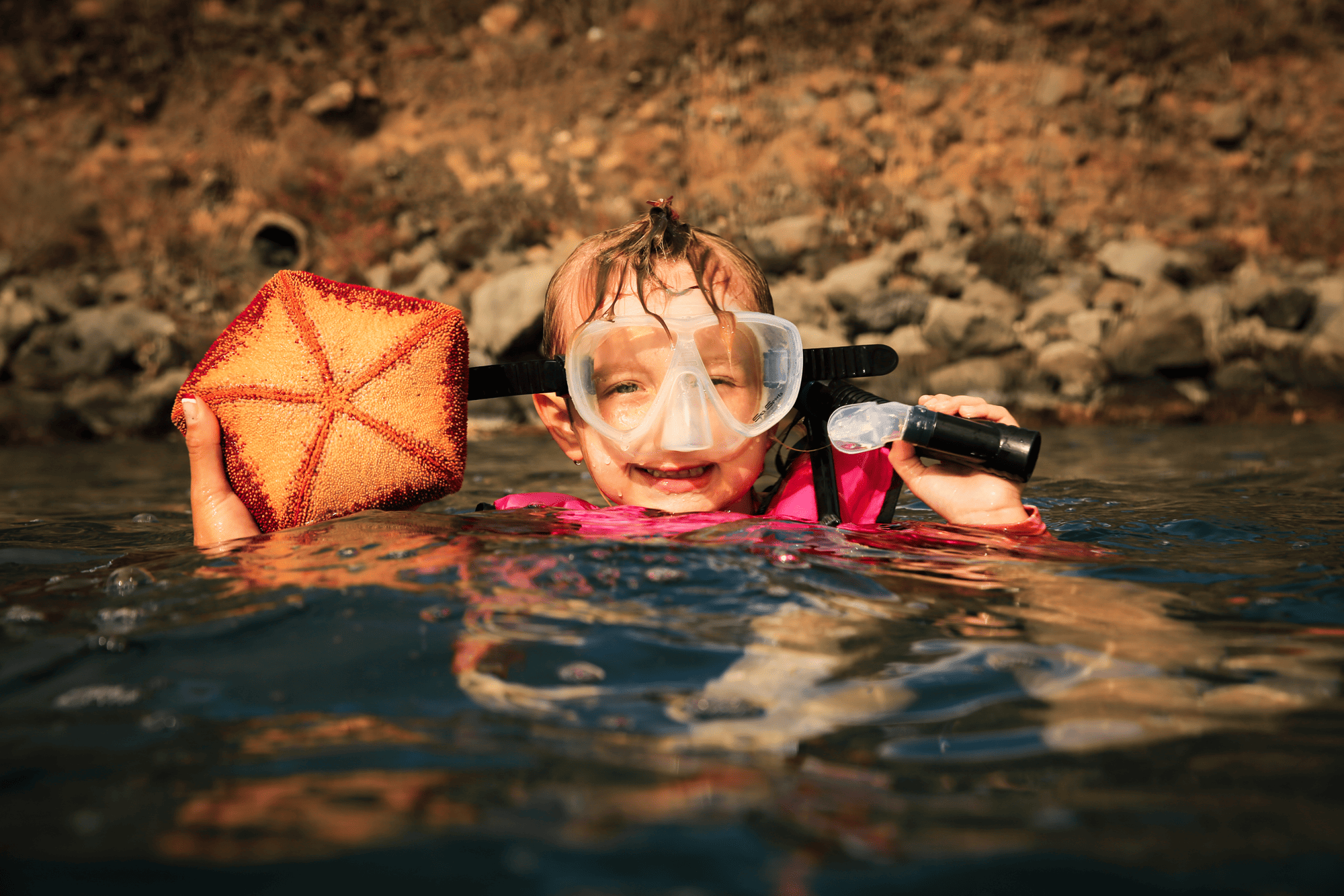 Maui Snorkel Adventure