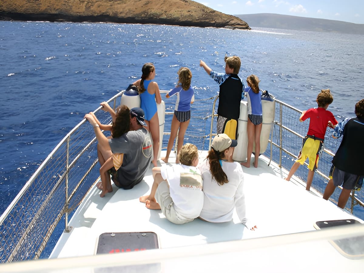 Molokini & Turtle Town Snorkel Cruise
