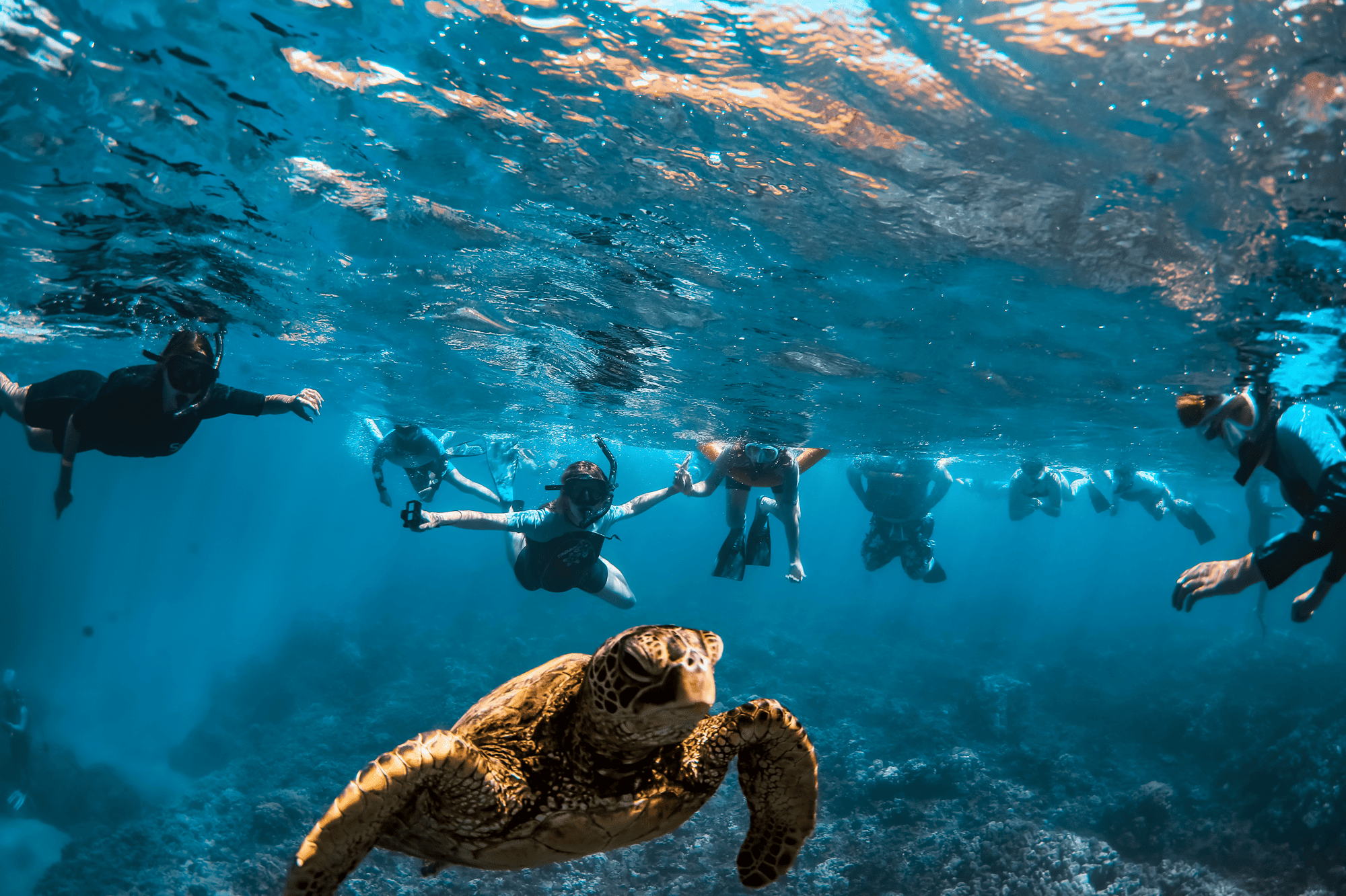Snorkeling