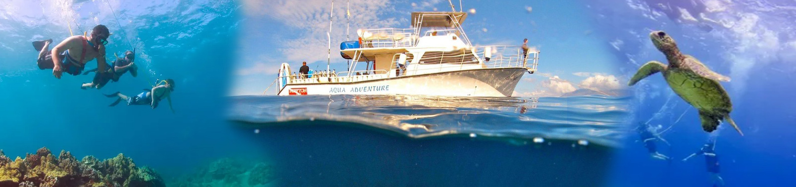 Aqua Adventures - Maui Snuba & Snorkel Tour