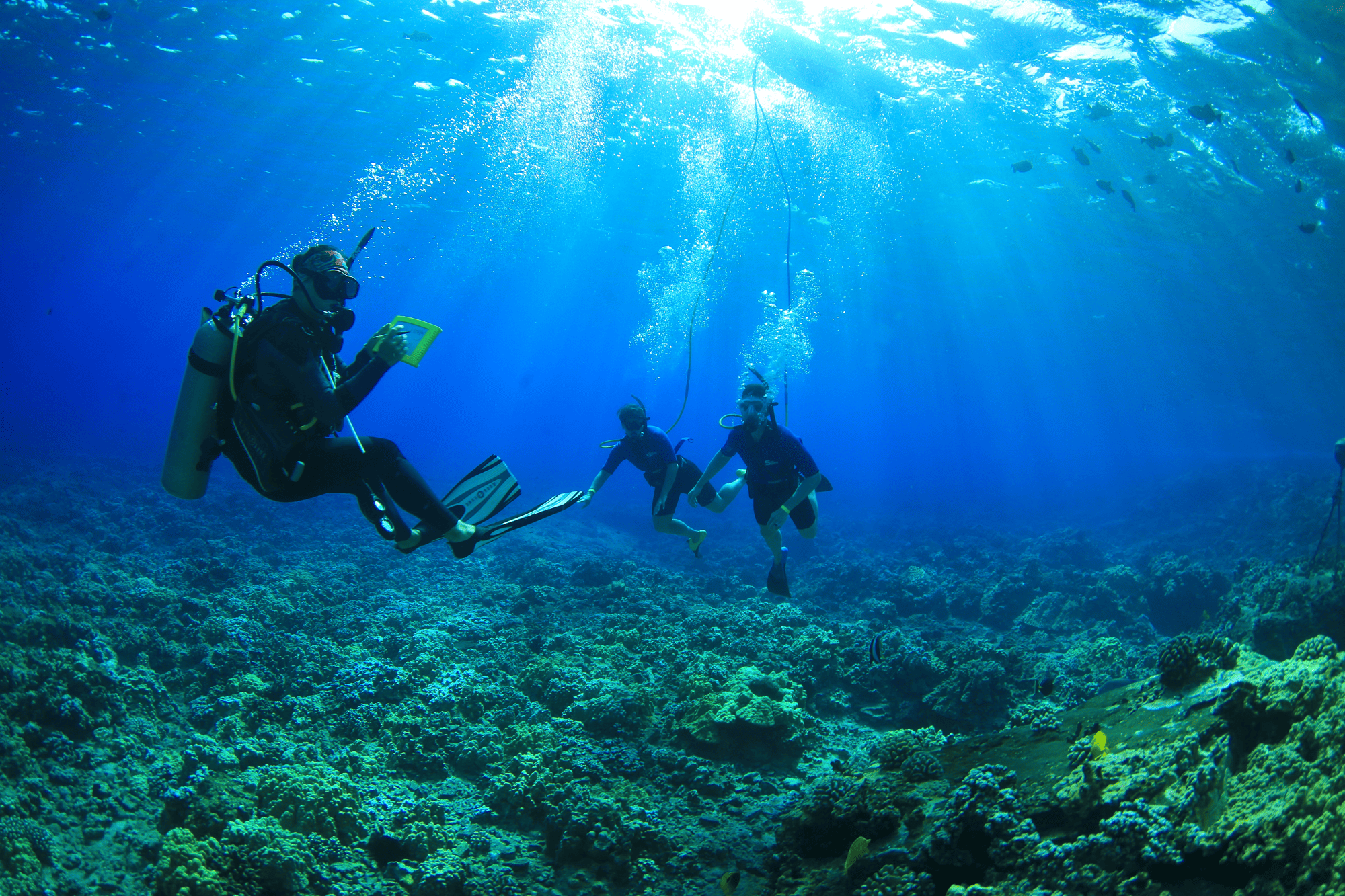 Maui Snuba Adventure