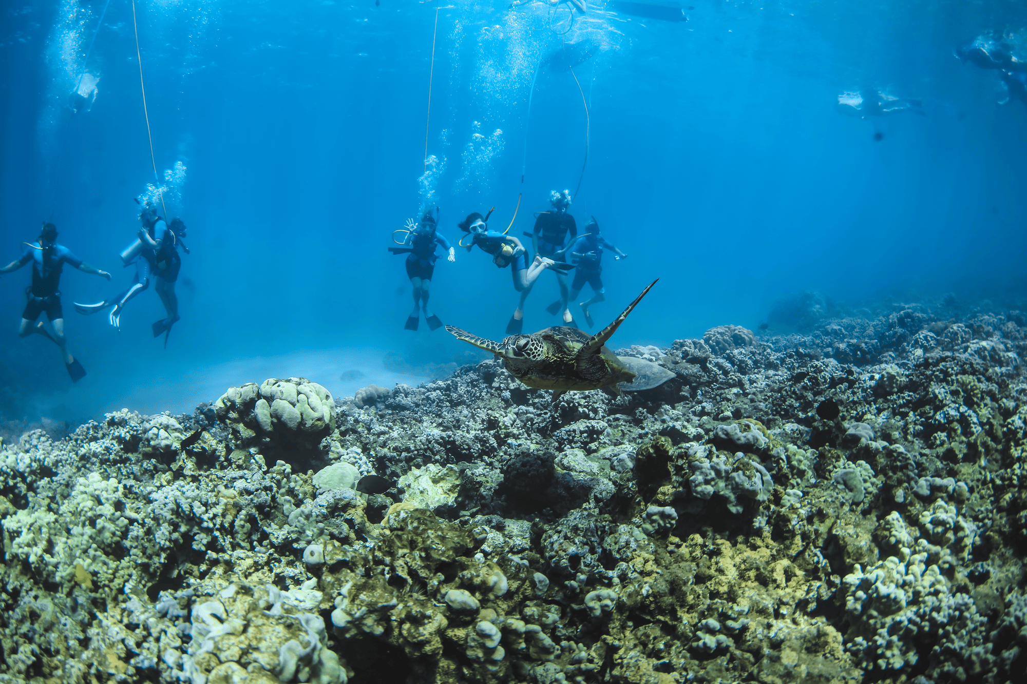 Maui Snuba Adventure