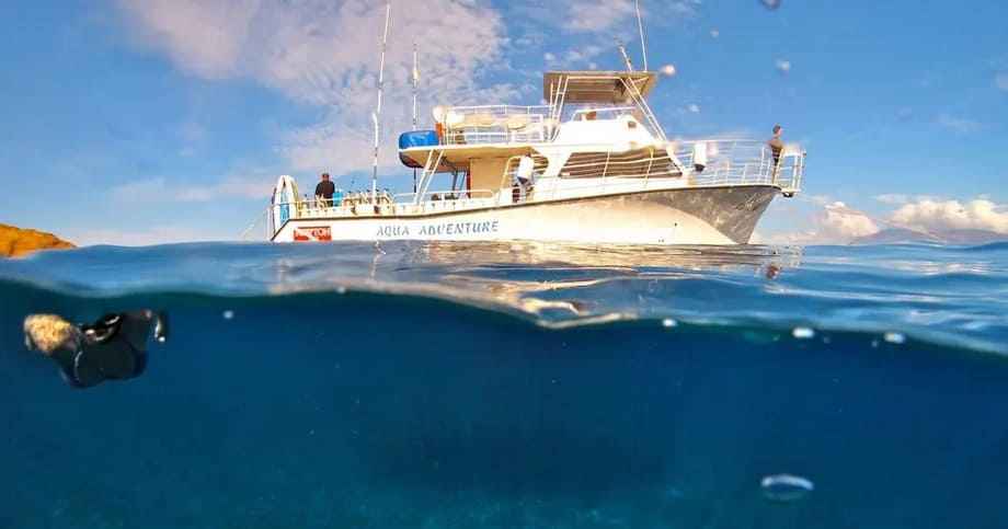 Maui Snuba & Snorkel Tour