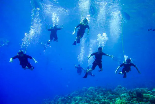 Maui Snuba & Snorkel Tour