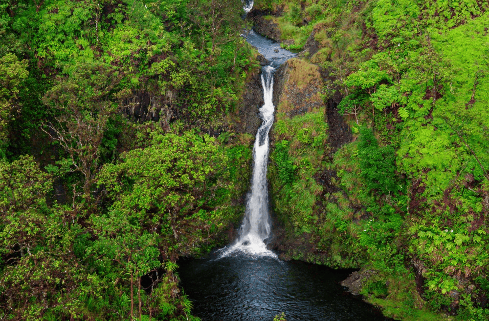 Blue Hawaiian Helicopters Hana Rainforest 3