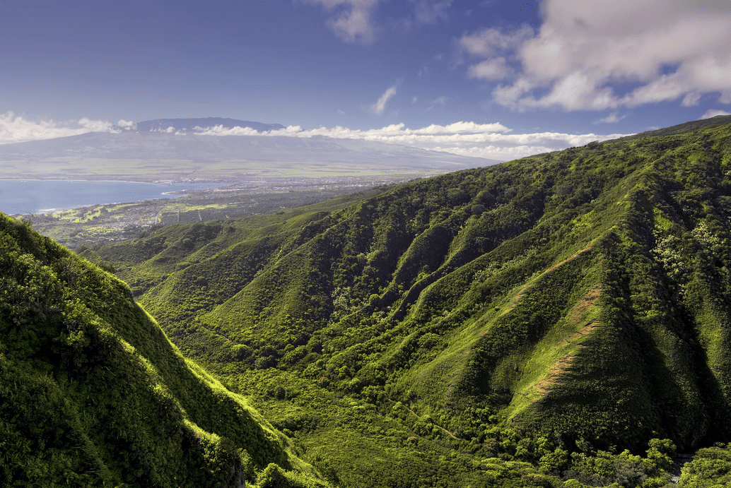 Blue Hawaiian Helicopters Waterfalls Of West Maui And Molokai 7