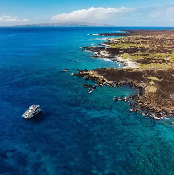 Maui Snorkel Tour