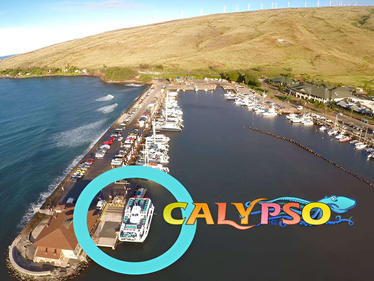 Calypso at Ma'alaea Harbor