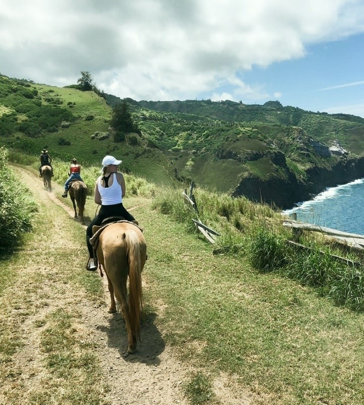 Beautiful Coastline Views