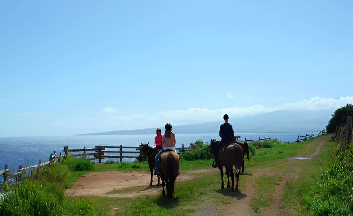 Maui Horseback Riding Tour