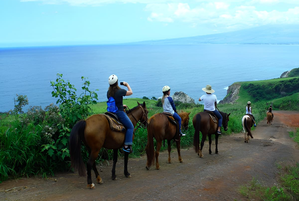 Maui Horseback Riding Tour