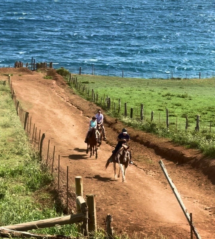 Scenic Coastal Trail