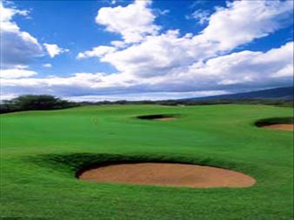 Maui Golf