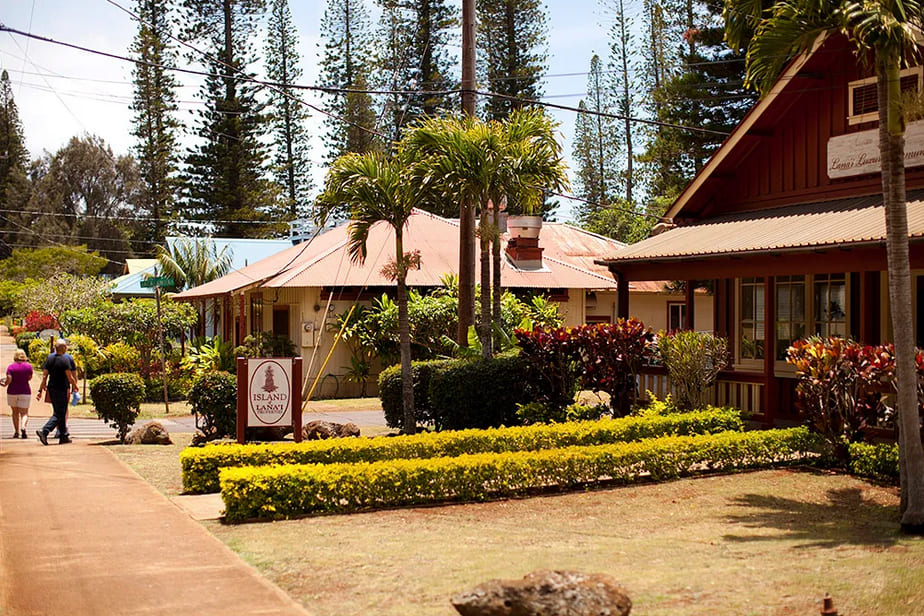Expeditions Lanai Trekker Tour 4