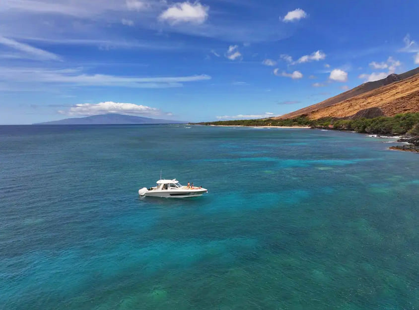 Scenic Maui Coastline Views