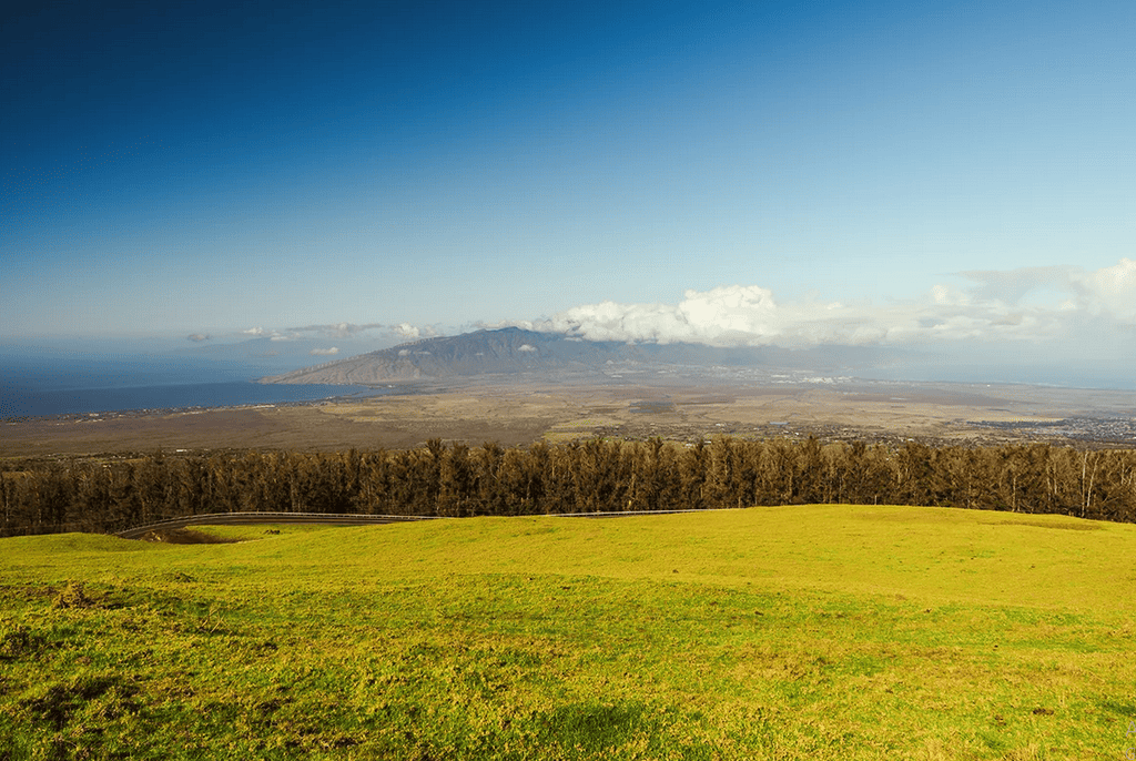 Upcountry Maui