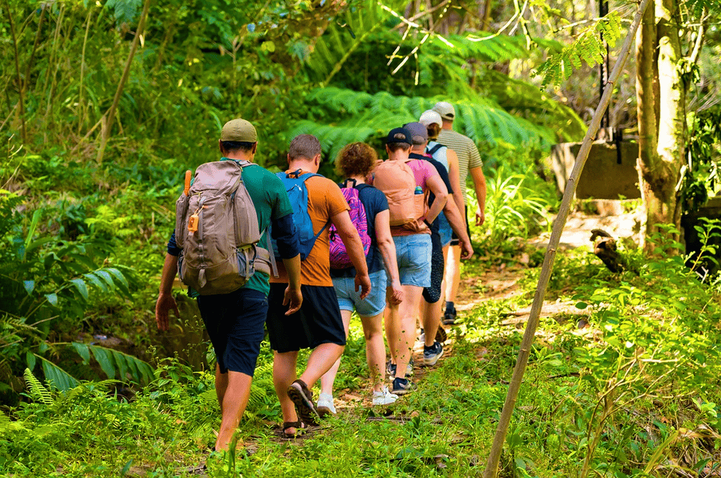 Maui Rainforest Hike