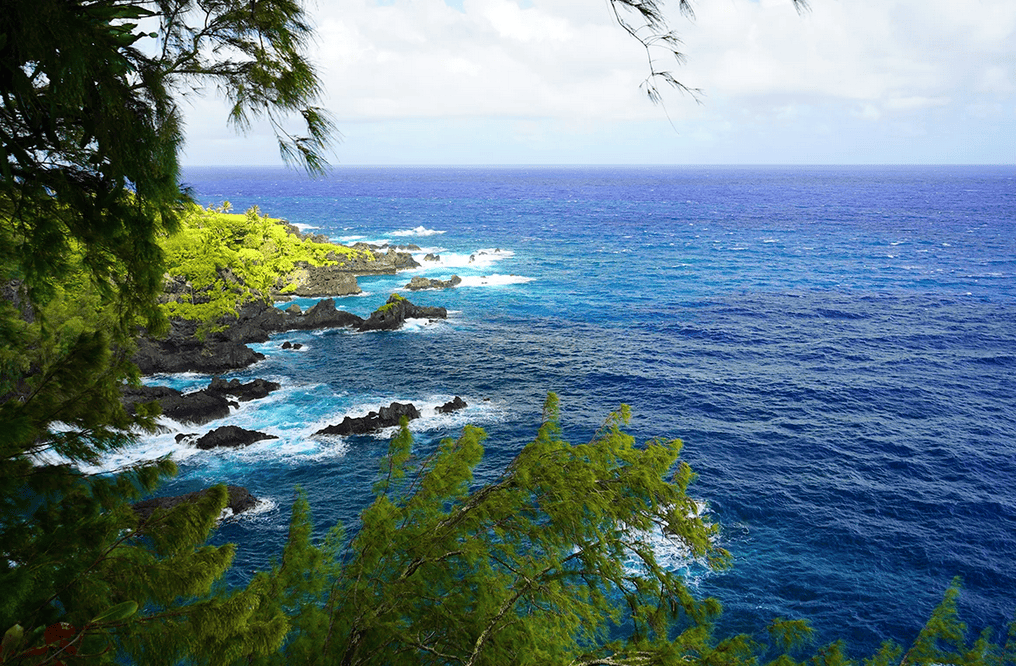 Beautiful Coastline View
