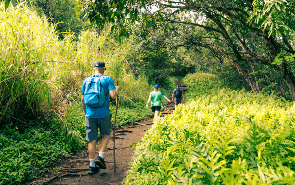 Guided Hike