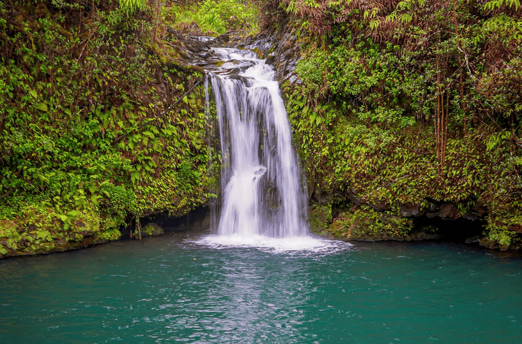 Tropical Waterfall