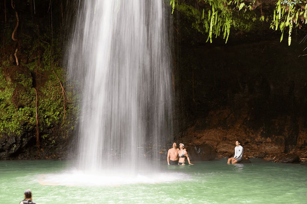 Maui Waterfall Swim