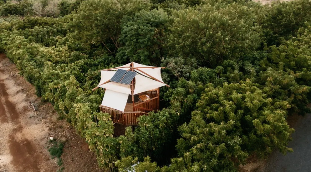 Treehouse