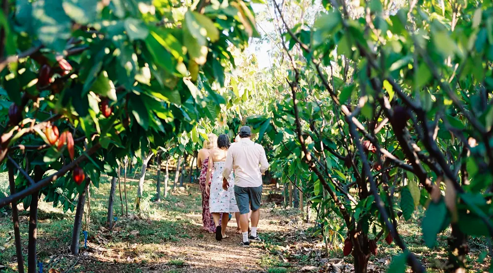 Ku'ia Estate