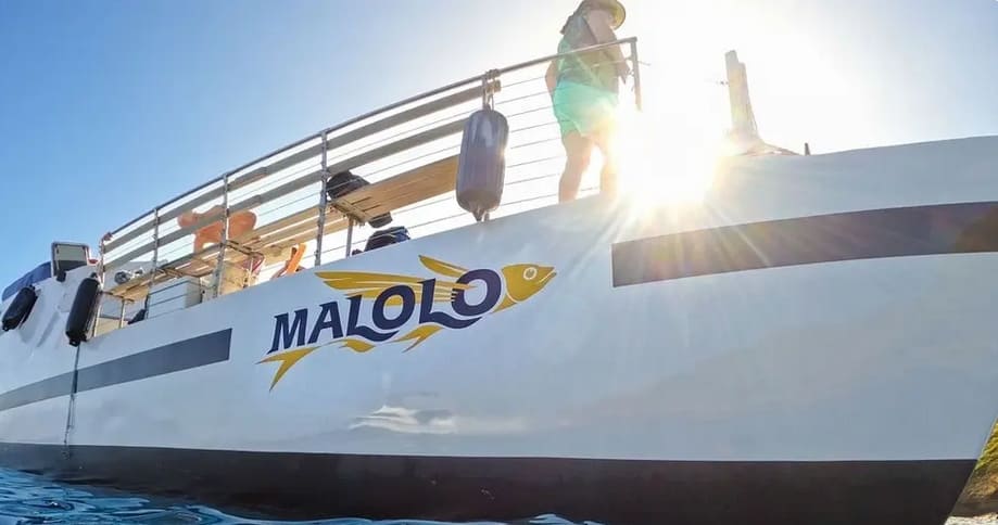 Malolo Catamaran