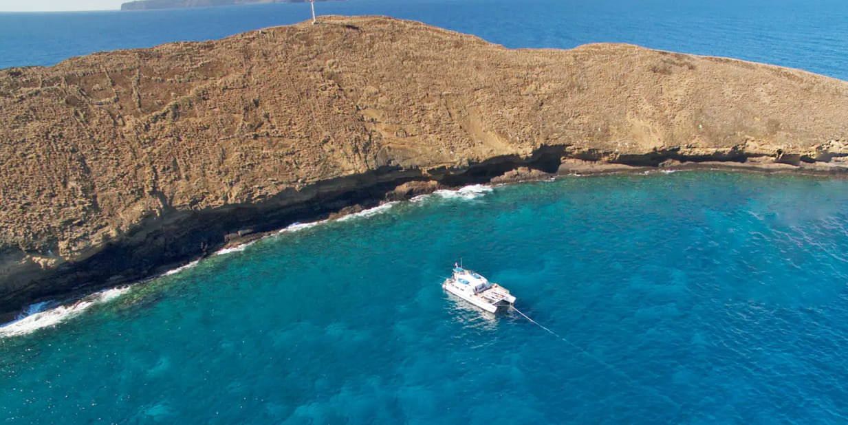 Malolo Snorkel Cruise