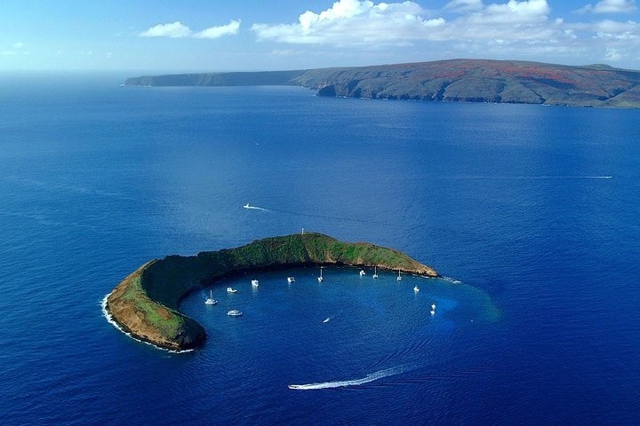 Molokini Crater snorkeling area off Maui with crystal-clear water, volcanic crater views, and vibrant reef life