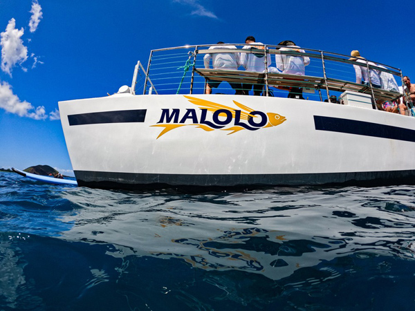 Malolo Charters whale watching tour on Maui – family-friendly cruise with humpback whale viewing
