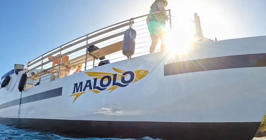 The Malolo