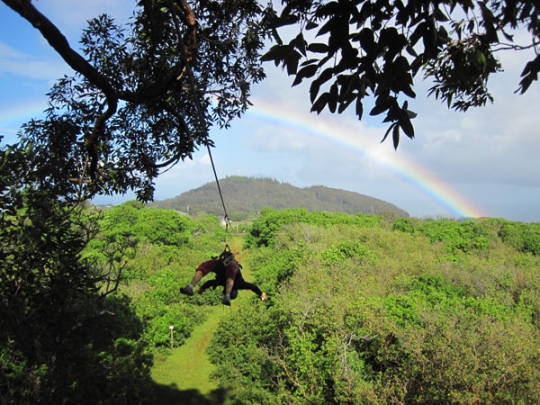 Maui Zipline