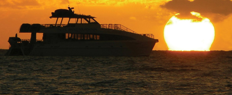 Pacific Whale Foundation – July 4th Cocktail Fireworks Cruise