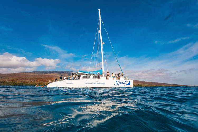 Pacific Whale Foundation – Lanai Snorkel & Dolphin Sail Lahaina Harbor