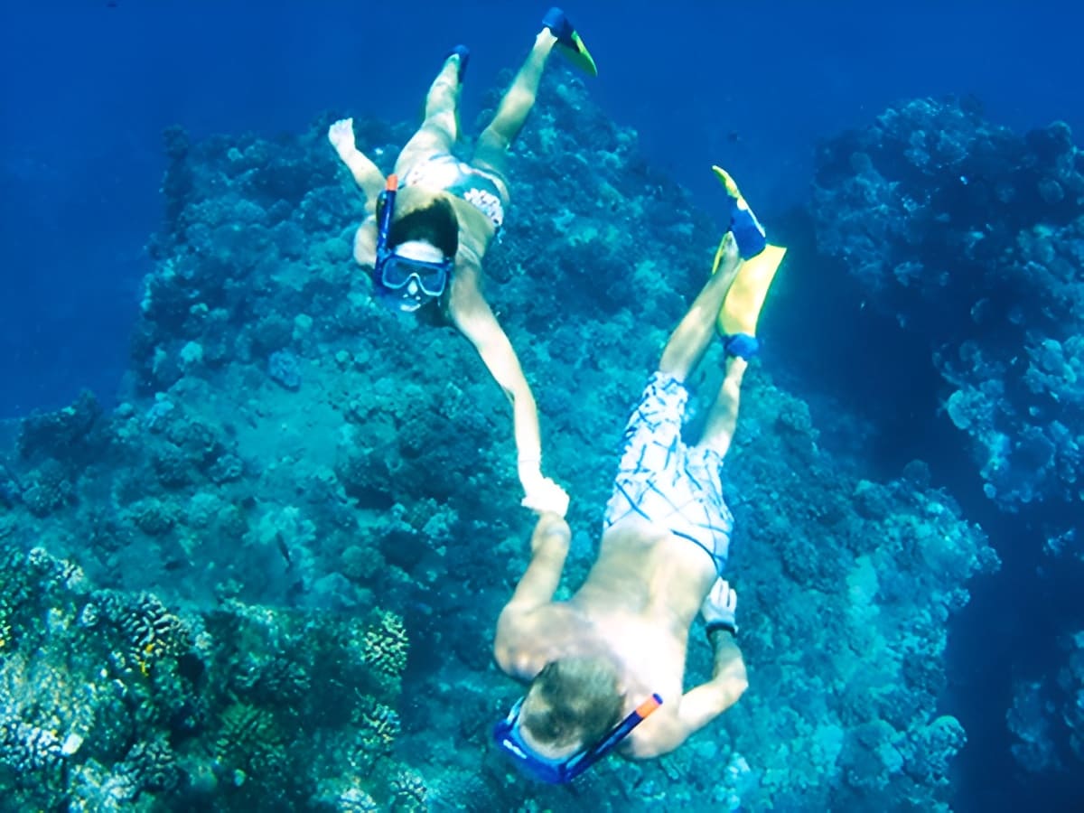 Lanai Snorkeling