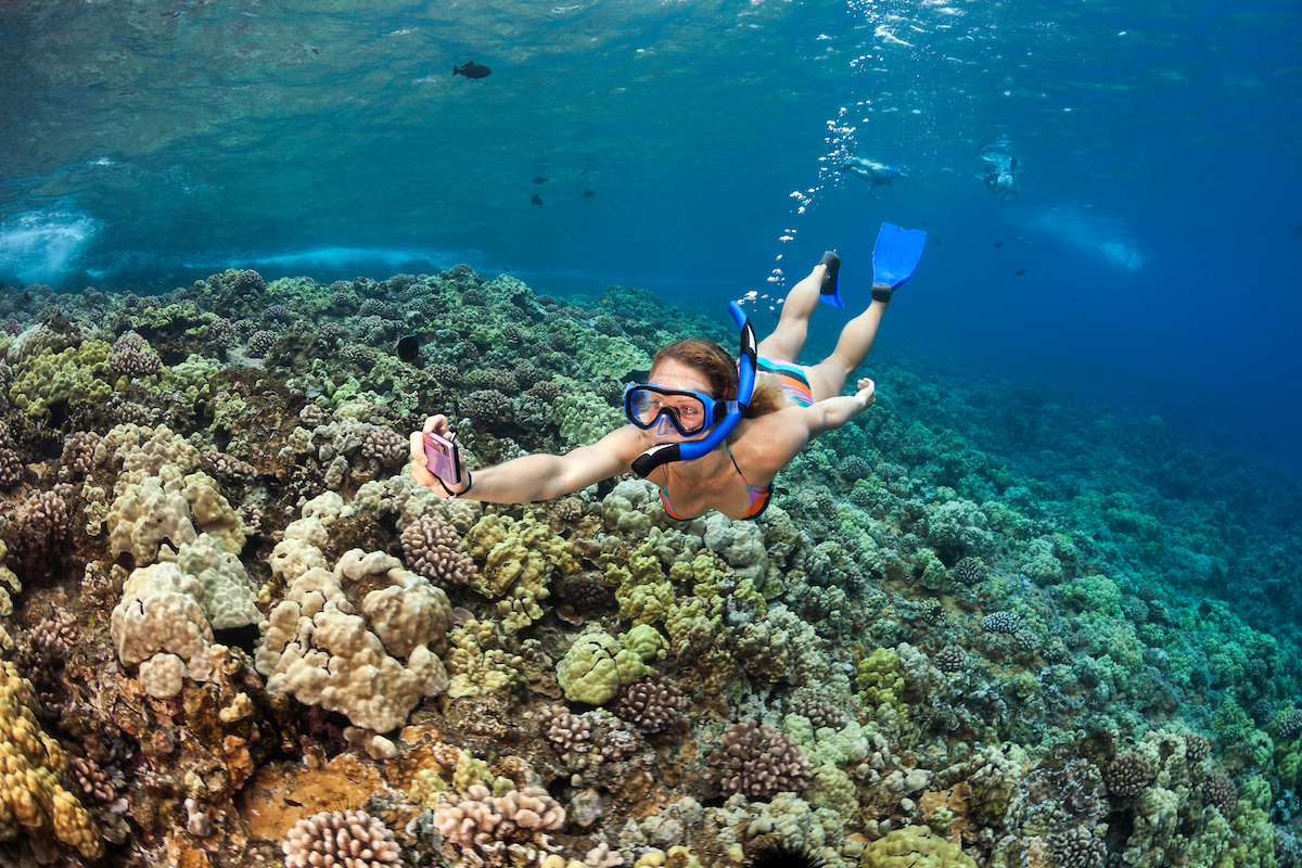 Pacific Whale Foundation – Maui Snorkel & Sunset Sail (Lahaina)