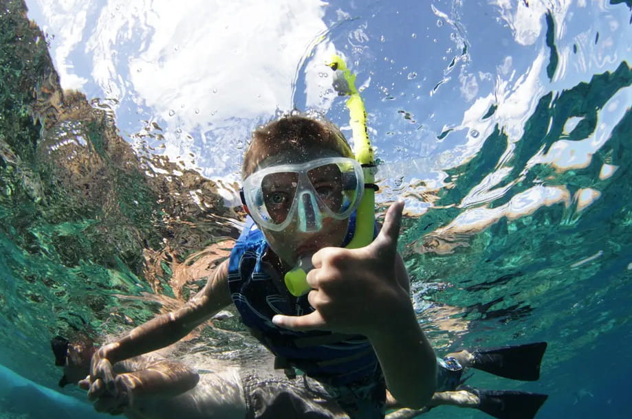 Pacific Whale Foundation – Maui Snorkel & Sunset Sail Maalaea